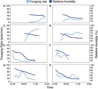 Individual Variation Does Not Regulate Foraging Response to Humidity in Harvester Ant Colonies